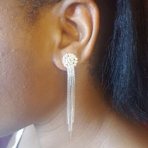 Long Dangling Tassel Earrings